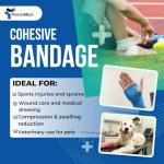 PintoMed Flexible Paw Bandages for Dogs, 6-Pack