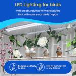 Bird Cage Light for Songbirds - Full Spectrum LED
