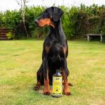 Proflax Liver Love Supplement for Dogs and Cats