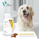 5-in-1 Multivitamin for Dogs and Cats