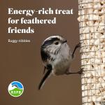 RSPB Buggy Nibble Treats for Wild Birds