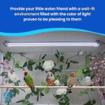 Bird Cage Light for Songbirds - Full Spectrum LED