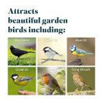 RSPB Buggy Nibble Treats for Wild Birds