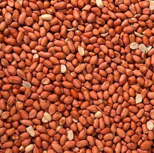 Trusty® Wild Bird Peanuts - 10kg Bag