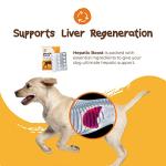 PetExx Hepatic Liver Health Tablets for Pets