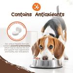 PetExx Hepatic Liver Health Tablets for Pets