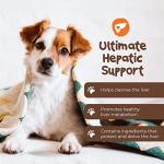 PetExx Hepatic Liver Health Tablets for Pets