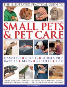 Small Pet Care Guide: Expert Tips and Advice