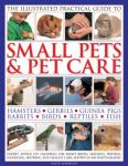 Small Pet Care Guide: Expert Tips and Advice