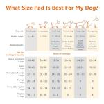 Amazon Basics 100 Count Leak-Proof Dog Pee Pads