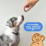 Buddy Biscuits Soft Bacon Flavor Dog Treats