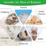 FIPASEN 18PCS Natural Rabbit Chew Toys for Dental Health
