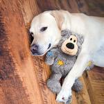 KONG WildKnots Bear Dog Toy - Small/Medium