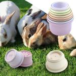 Colorful Stacking Cups for Bunnies and Small Pets