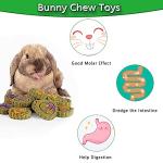 FIPASEN 18PCS Natural Rabbit Chew Toys for Dental Health