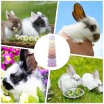 Colorful Stacking Cups for Bunnies and Small Pets