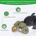 FIPASEN 18PCS Natural Rabbit Chew Toys for Dental Health