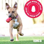 KONG WildKnots Bear Dog Toy - Small/Medium