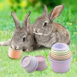 Colorful Stacking Cups for Bunnies and Small Pets