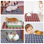 Reusable Washable Guinea Pig Cage Liners, 2 Pack