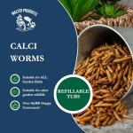 Calcium-Rich Calci Worms for Wild Birds