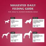 Dr John Silver Beef & Veggie Dry Dog Food 15kg