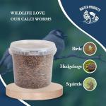 Calcium-Rich Calci Worms for Wild Birds