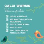 Calci Worms for Birds - Easy to Feed Tub