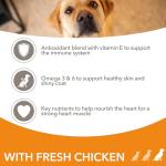 IAMS Large Breed Dry Dog Food with Dental Care