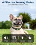 Jugbow Waterproof Dog Training Collar with Remote