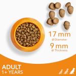 IAMS Large Breed Dry Dog Food with Dental Care