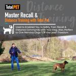 Total Pet 10m Training Leash for Dogs & Puppies