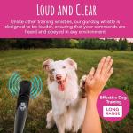 High-Frequency Dog Training Whistle with Lanyard