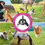 High-Frequency Dog Training Whistle with Lanyard