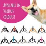 High-Frequency Dog Training Whistle with Lanyard