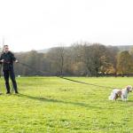 Total Pet 10m Training Leash for Dogs & Puppies