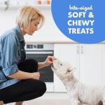 Buddy Biscuits Soft Bacon Flavor Dog Treats