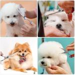 Safety Round Tip Dog Grooming Scissors Set