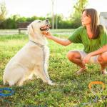 Dog Tie Out Cable and Stake for Outdoor Use
