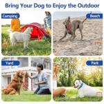 Dog Tie Out Cable and Stake for Outdoor Use