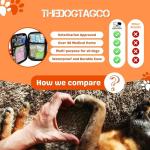 Dog First Aid Kit - 40+ Supplies for Emergencies