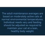 Felix Deliciously Sliced Wet Cat Food Variety Pack