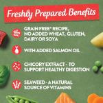 Harringtons Grain Free Wet Dog Food Bumper Pack