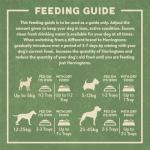 Harringtons Grain Free Wet Dog Food Bumper Pack