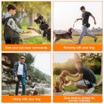 Aomig Portable Silicone Dog Treat Pouch - Black