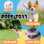 10 Pack Luxury Dog Toys for Small Dogs