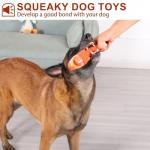 Durable Chew Toys for Aggressive Large Dogs