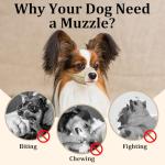 Mayerzon Soft Muzzle for Small Dog Breeds
