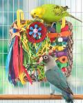 Colorful Cockatiel Foraging Toy for Birds