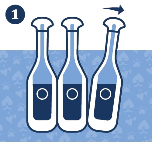 Small Dog Flea & Tick Prevention, 3 Months